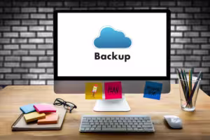 Protecting Your Digital Assets: A Comprehensive Approach to Website Backup